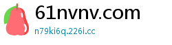 61nvnv.com